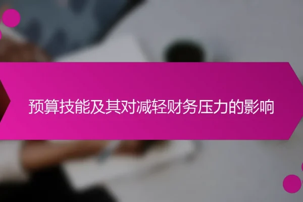 预算技能及其对减轻财务压力的影响