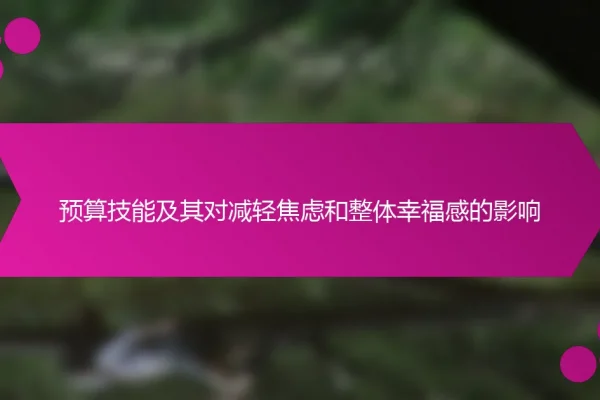 预算技能及其对减轻焦虑和整体幸福感的影响