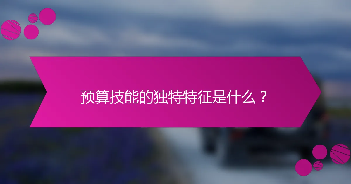 预算技能的独特特征是什么？